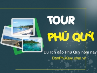 Tổng Hợp Dịch Vụ Du Lịch Tour Tại Phú Qúy
